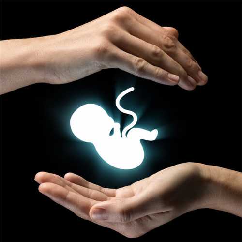 上海助孕中心价格表-医院代孕生孩子服务_孕妇可不可以吃鹅儿肠草
