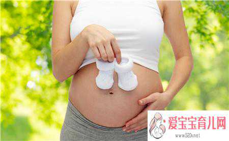 找女代孕要多少钱-上海代孕找什么人合适_孕期如何进行胎教孕妈要根据胎儿动