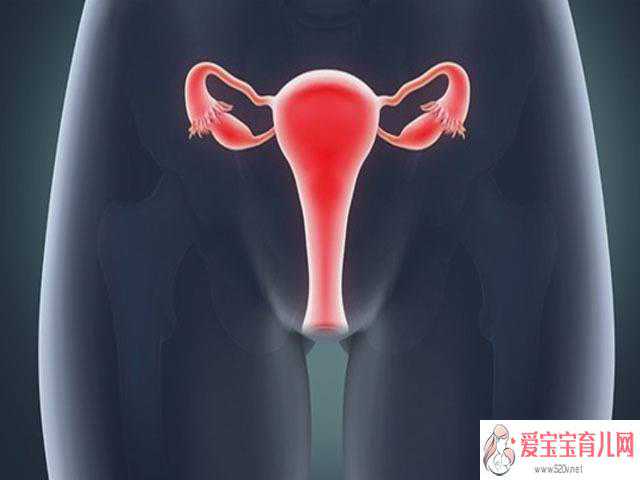 上海代孕小孩-代孕胚胎移植_卵巢保养有什么方法？女人怎样保养卵巢